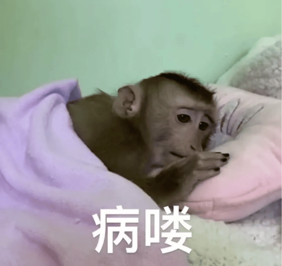 注意！这4类同学无法报名12月四六级考试！