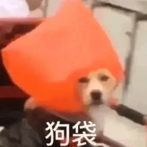 注意！这4类同学无法报名12月四六级考试！