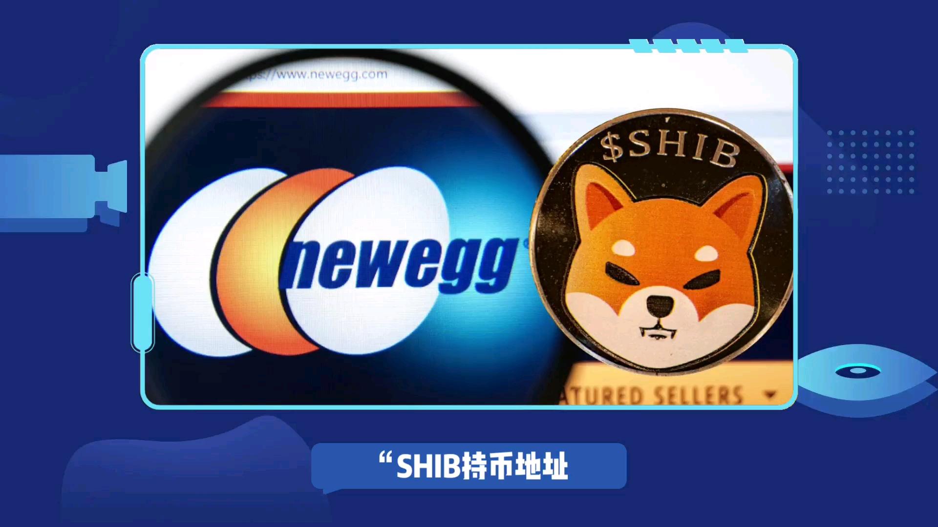 shib币未来发展趋势(shib币未来到底有没有价值)