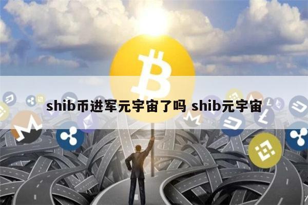 关于shib币发行价是多少钱的信息