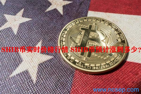 shib持币第一的是(持币前十名占100%是什么意思)