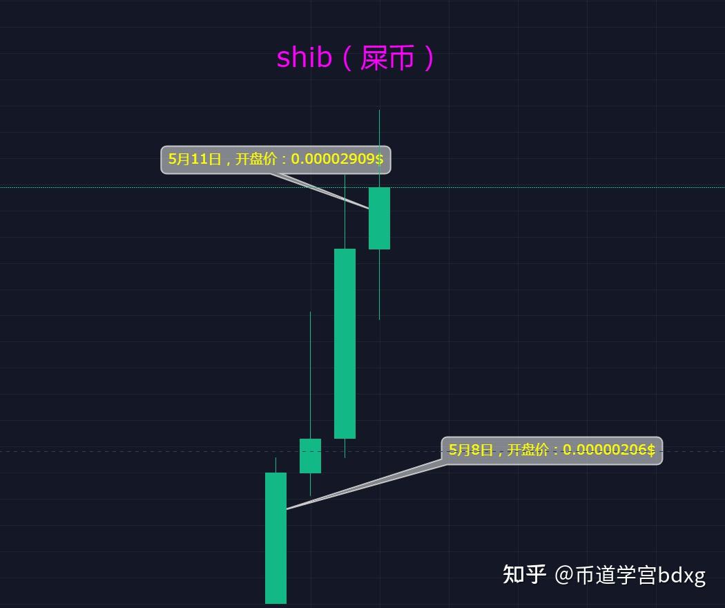 shib前十持币(shib币市值排名今日)
