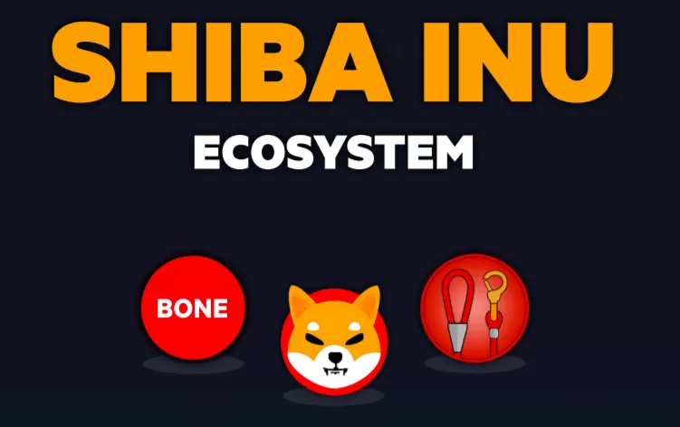 shib币未来发展有哪些利好的简单介绍
