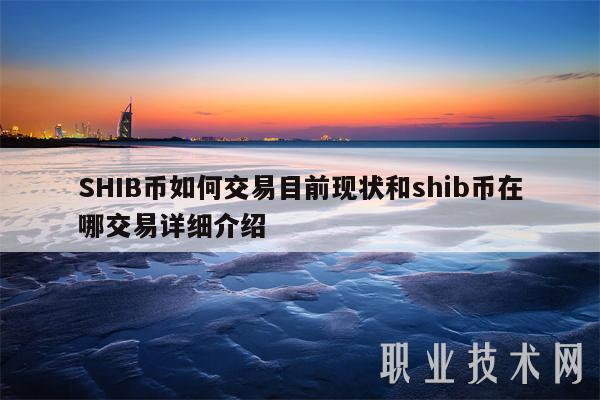放一个shib币(shib币可以放哪个钱包)