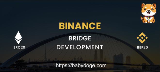 babydoge币(BABYDOGE币骗局)