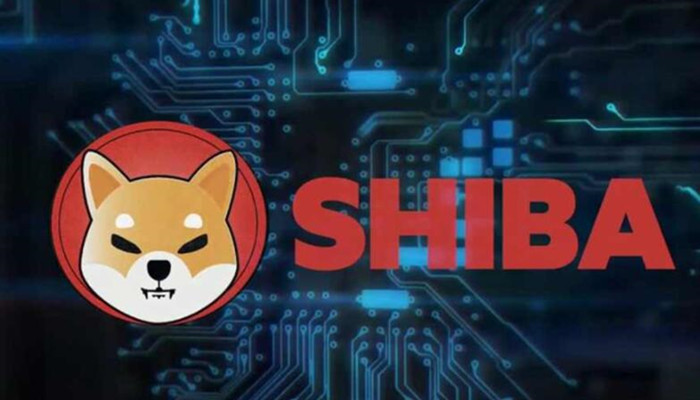 宝二爷说shib币(宝二爷说filecoin)