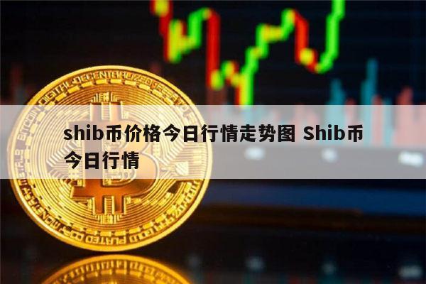 shib杀手是什么币(杀手saso是什么意思)