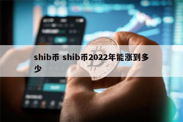 shib币三年后价格(shib币几年可以炒起来)