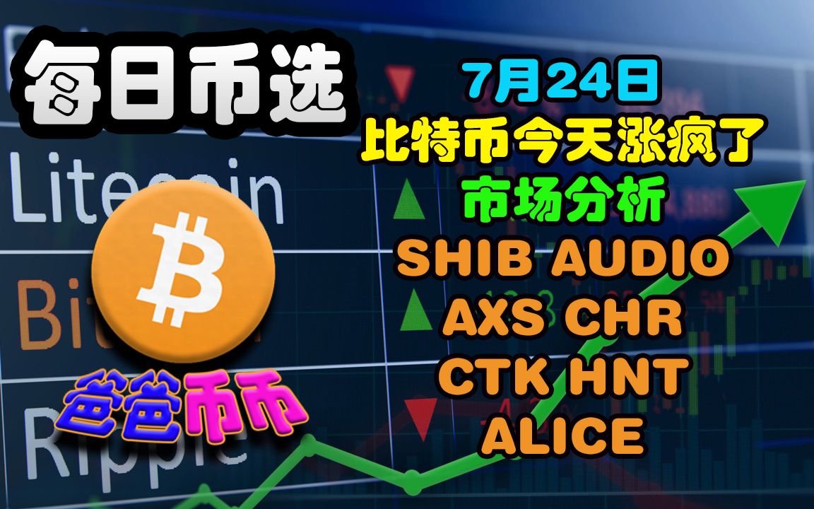 shib币上涨(shib币会涨到01美元吗)