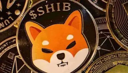 shib币涨到3毛(shib币涨了多少倍)