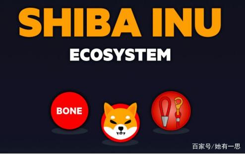shib币要进罗宾汉(罗宾汉交易所可以提币吗)