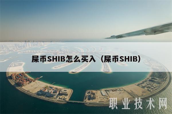 shib币6千(shib币多少钱一个)
