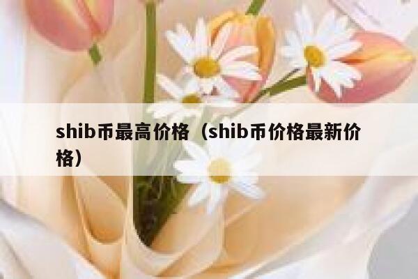shib充币(充币memo)