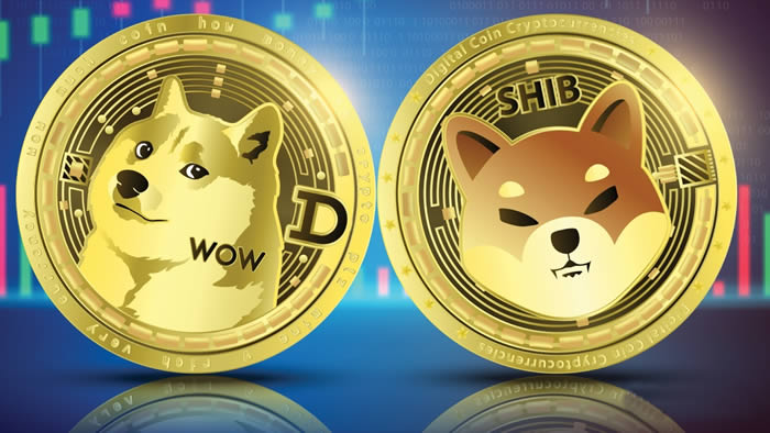 关于pig币和shib币的前景的信息
