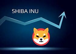 shib币新价格(shib币目前价格)