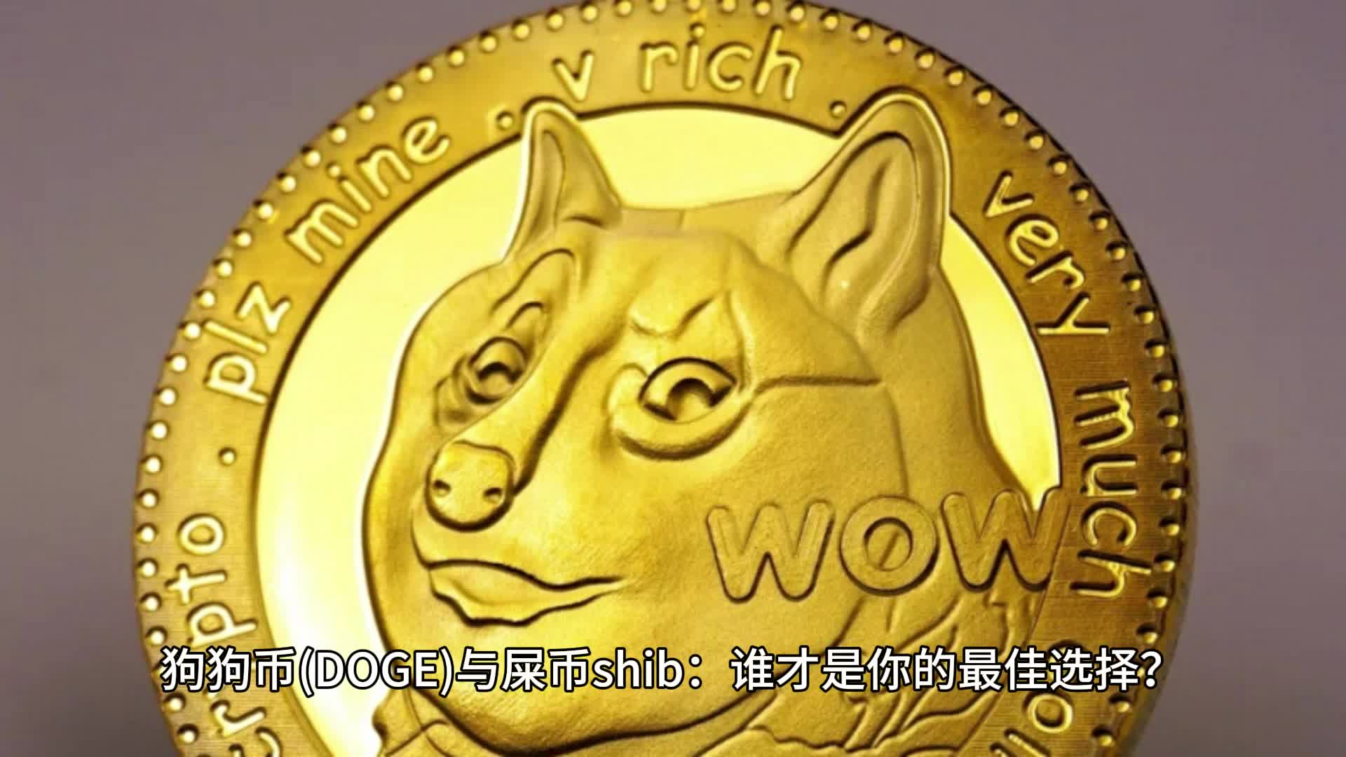 shib币市值与doge市值的简单介绍