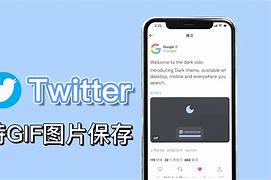 包含推特上面的SHIB币最新消息的词条