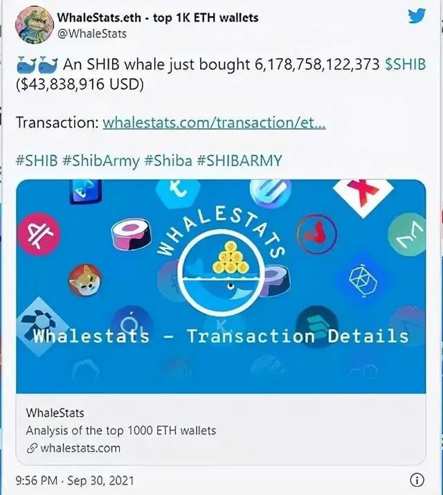 播放shib币世界(shib币最新价格 币世界)