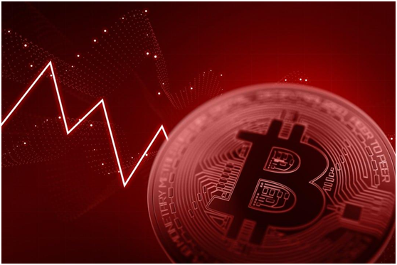 包含持有1000万shib币三年后的词条