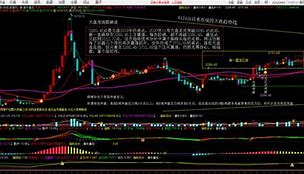shib币实时行情图(shib币实时价格行情)