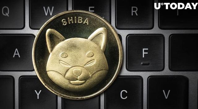 提币网络shib(提币网络OKTC是什么意思呢)