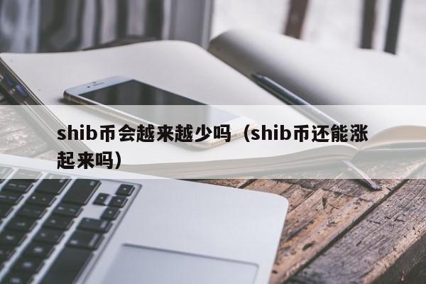 shib币做什么用(shib币值得长期投资吗)