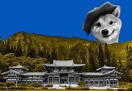 包含shib币未来五年的词条
