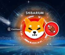 shib币百度(shib币有啥用)