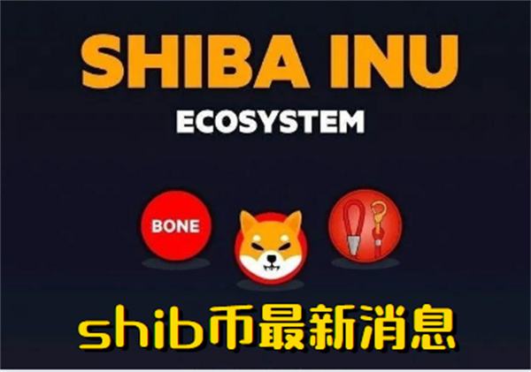 shib币怎么发行(shib币哪里发行的)