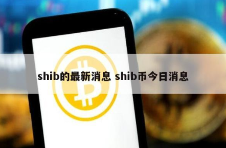 shib币2020年(shib币2020年价格)