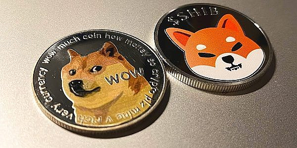 shib币要进罗宾汉(shib上罗宾汉交易所)
