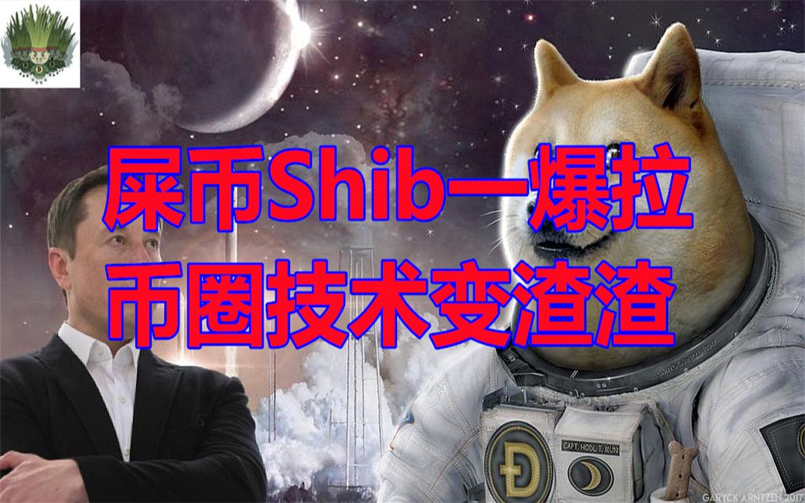 shib币做什么用(shib这个币做什么的)