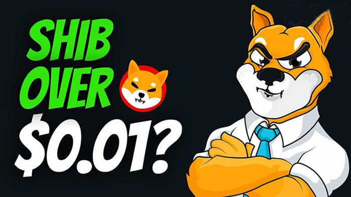 动物园币shibdog(一千块钱买了shib赚了7200万)