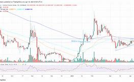 shib币最新消息今日(shib币最新价格今日行情)