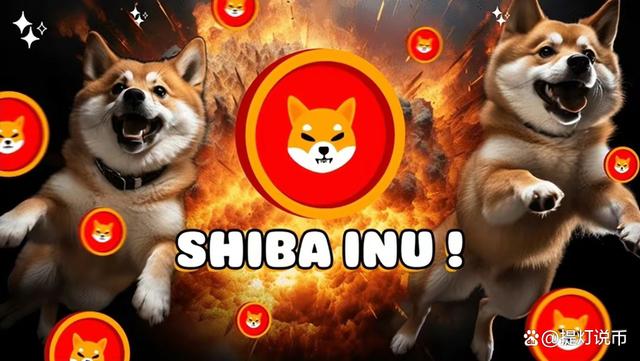 shib币前景不可限量金融的简单介绍