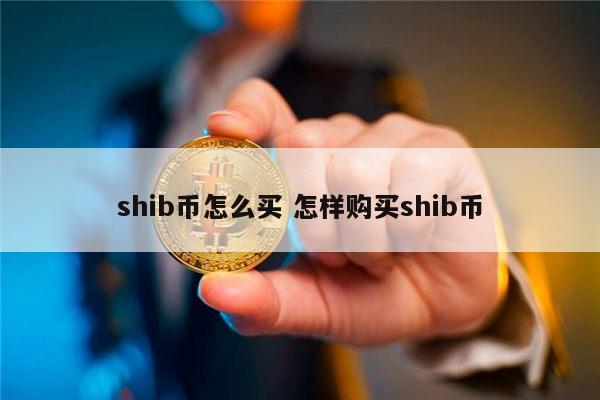 今日shib币(shi币今日行情价格)