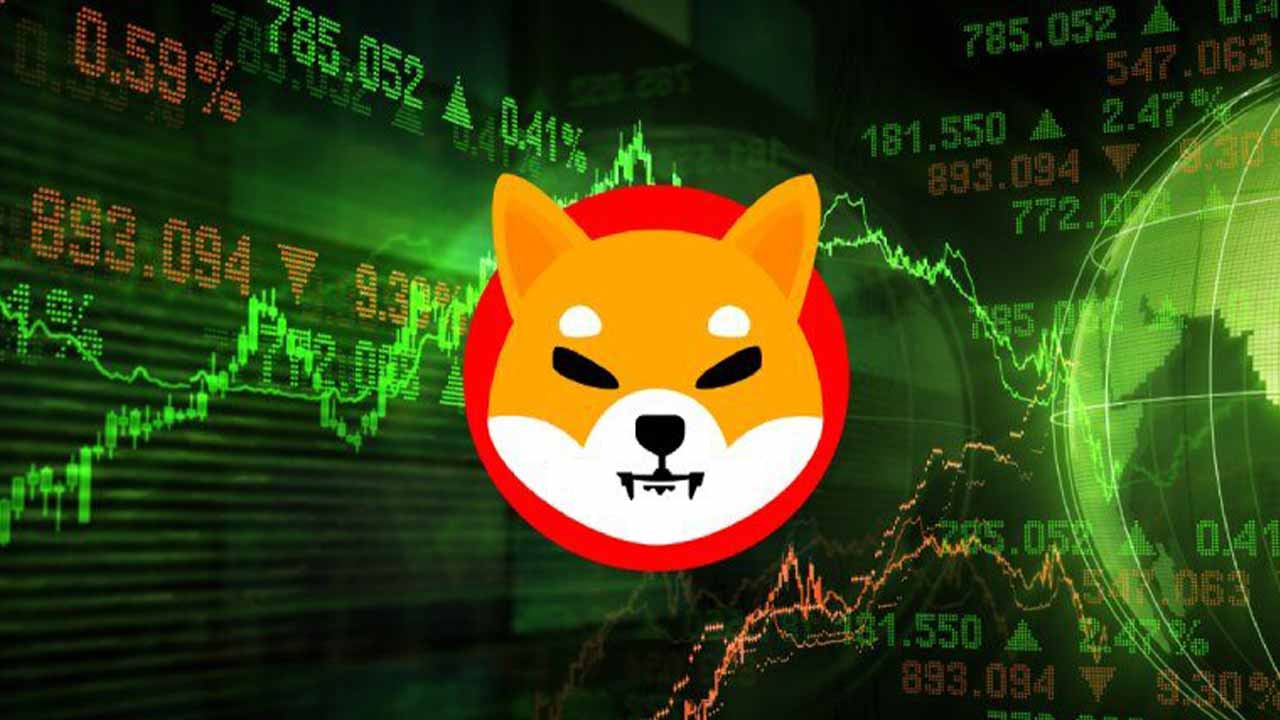 shib币6千(shib币现在多少钱)